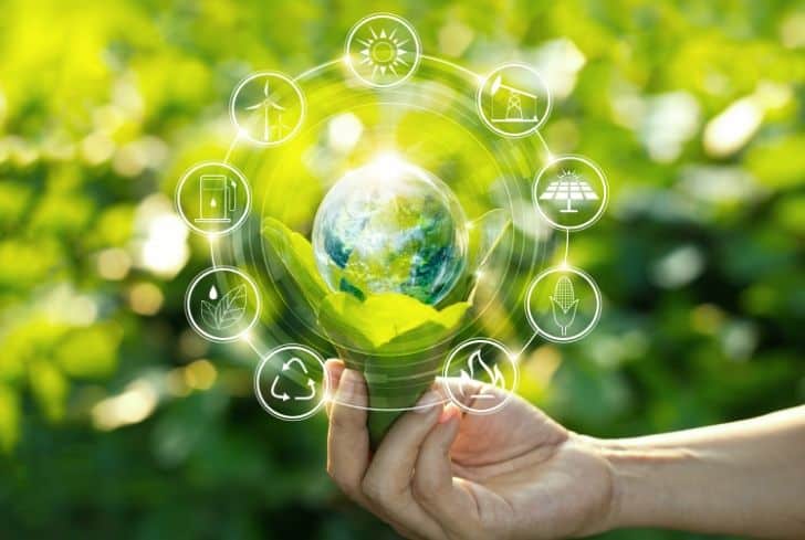 Eco-friendly Solutions: Going Paperless with PDF Editors