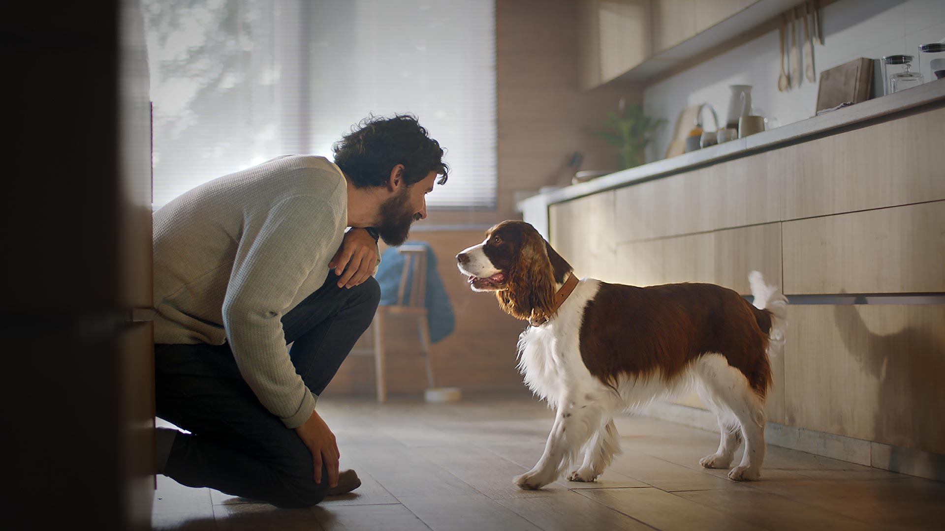 6 Dumb Mistakes Pet Owners Make